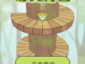 功夫蛙小姐姐,揭秘现代女性的武侠传奇